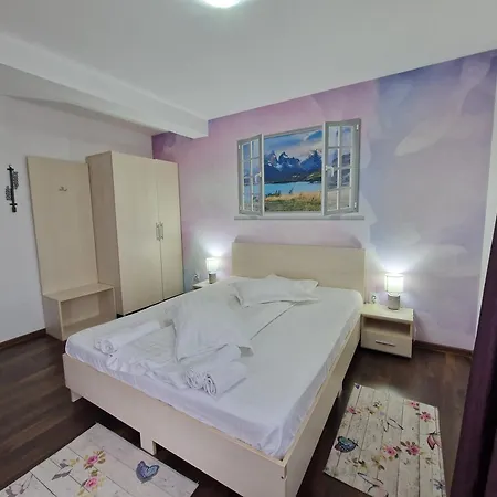Pensiunea Dara Guest house 3*