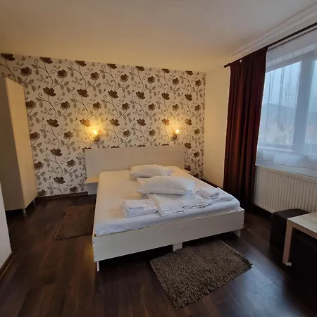 Guest house Pensiunea Dara