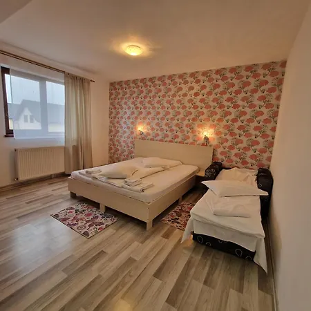Pensiunea Dara 3*