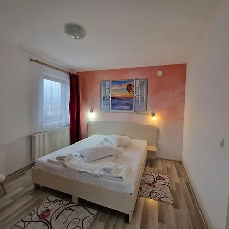 Guest house Pensiunea Dara