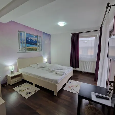Pensiunea Dara Guest house