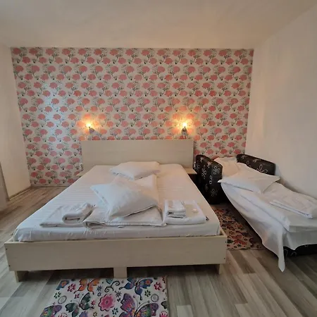 Pensiunea Dara 3* Risnov