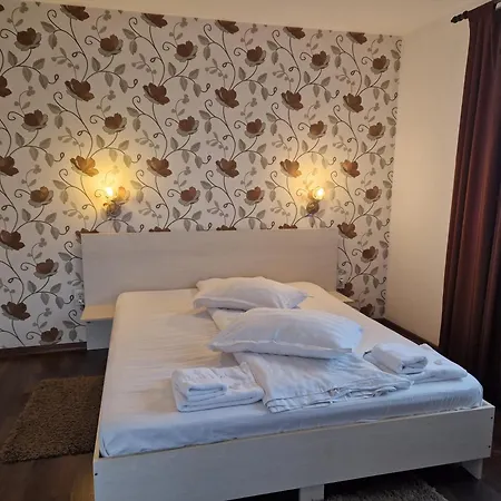 Guest house Pensiunea Dara
