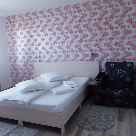Pensiunea Dara Guest house