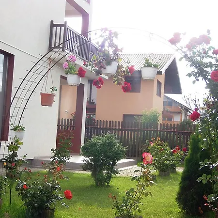 Guest house Pensiunea Dara 3*