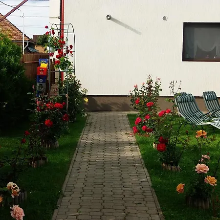 Guest house Pensiunea Dara Risnov