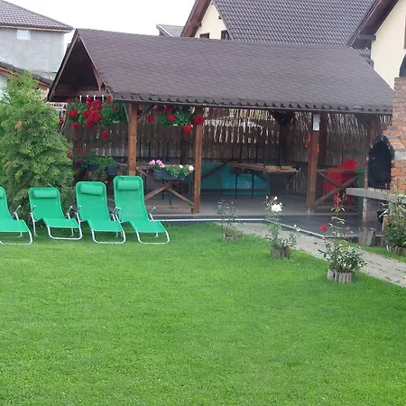 Guest house Pensiunea Dara 3*