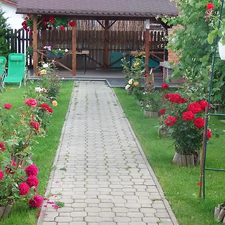 Guest house Pensiunea Dara